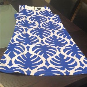 Blue and White Dress